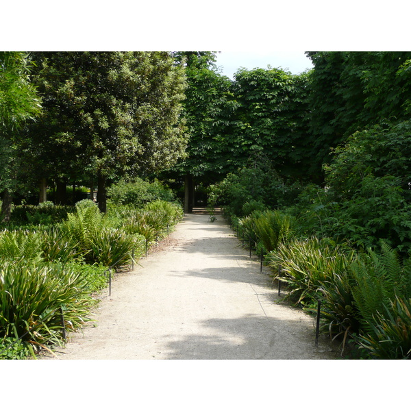 Picture France Paris Garden of Tuileries 2007-05 241 - Tours Garden of Tuileries