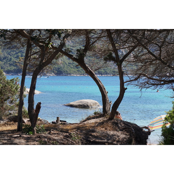 Picture France Corsica Santa Giulia Beach 2017-07 31 - Tours Santa Giulia Beach