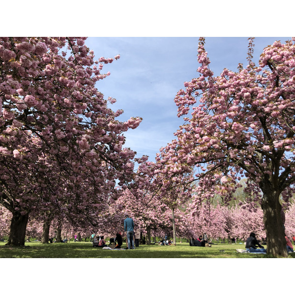 Picture France Parc de Sceaux 2019-04 57 - Discovery Parc de Sceaux