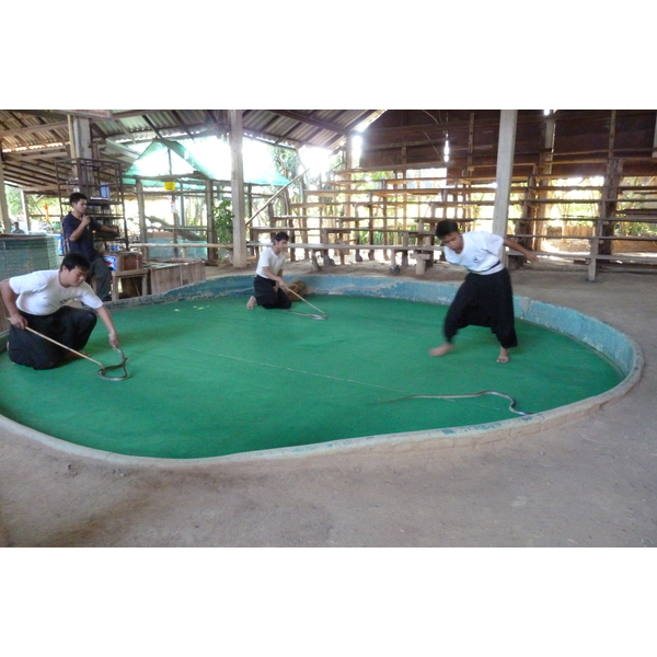 Picture Thailand Chiang Mai Mae Sa Snake Farm 2010-12 76 - Recreation Mae Sa Snake Farm