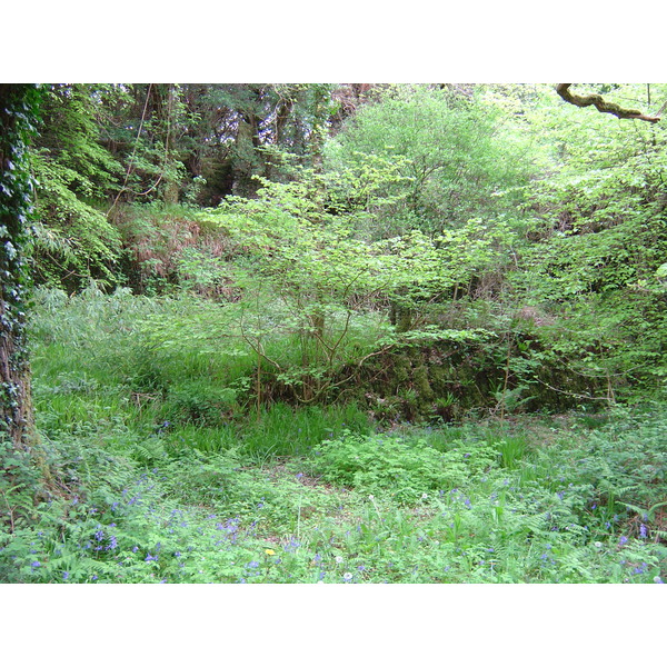 Picture Ireland Kerry Killarney National Park Muckross Lake 2004-05 23 - Discovery Muckross Lake