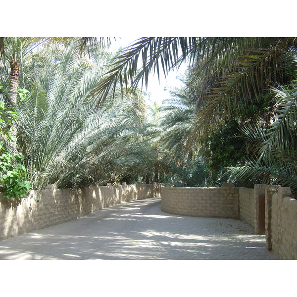 Picture United Arab Emirates Al Ain Al Ain Oasis 2005-03 24 - Journey Al Ain Oasis