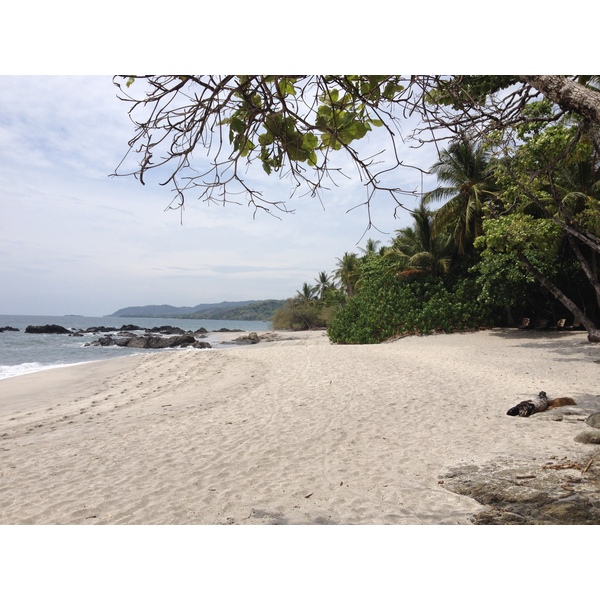 Picture Costa Rica Montezuma 2015-03 41 - Tours Montezuma