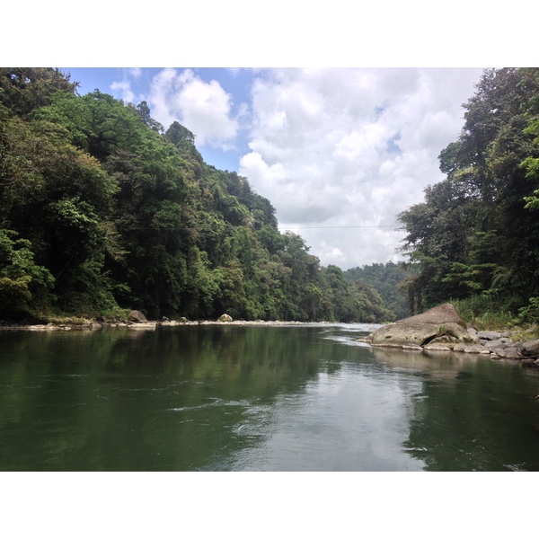 Picture Costa Rica Pacuare River 2015-03 75 - Around Pacuare River