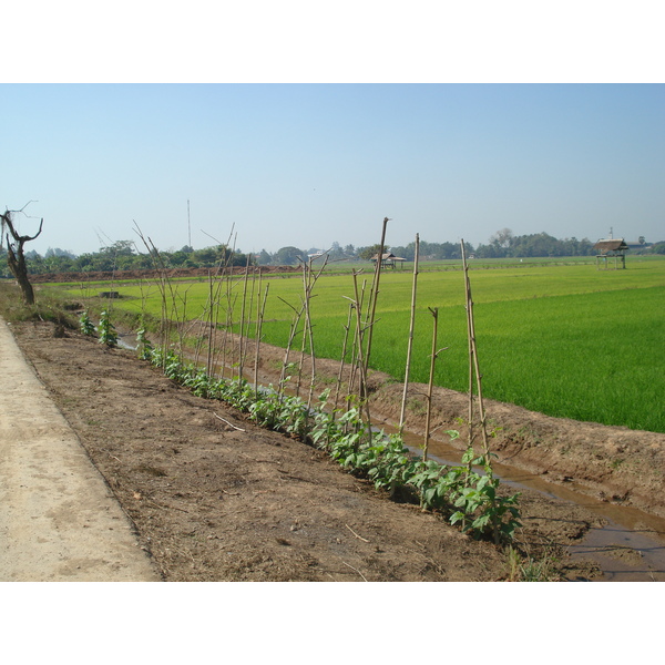 Picture Thailand Phitsanulok 2008-01 9 - History Phitsanulok