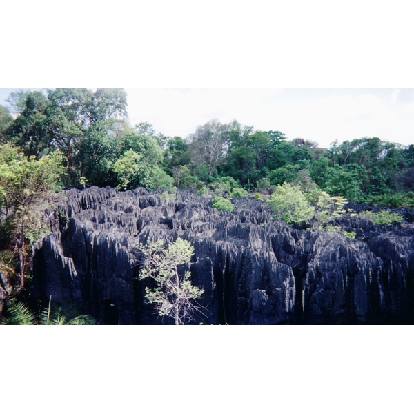 Picture Madagascar Tsingy 1999-10 26 - Center Tsingy