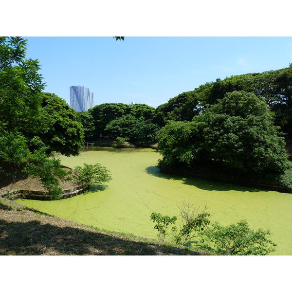 Picture Japan Tokyo Hama rikyu Gardens 2010-06 62 - Tours Hama rikyu Gardens