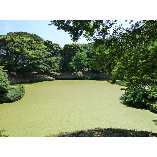 Picture Japan Tokyo Hama rikyu Gardens 2010-06 65 - Recreation Hama rikyu Gardens