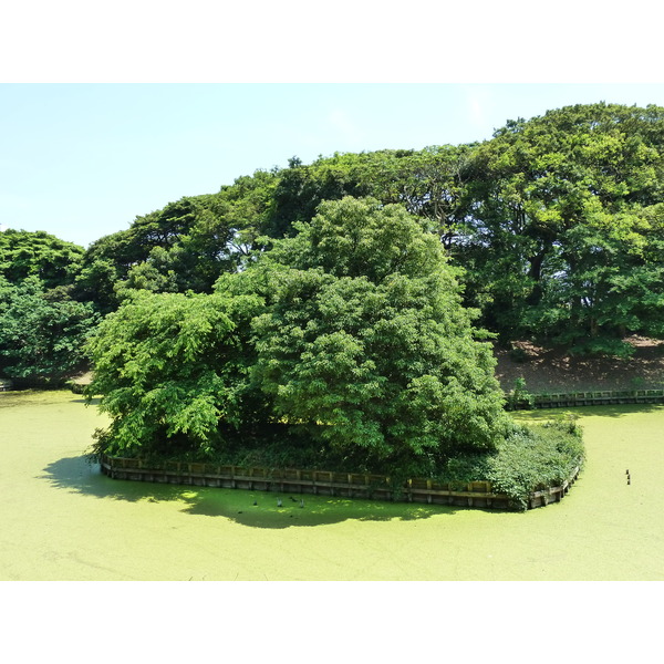 Picture Japan Tokyo Hama rikyu Gardens 2010-06 67 - Journey Hama rikyu Gardens