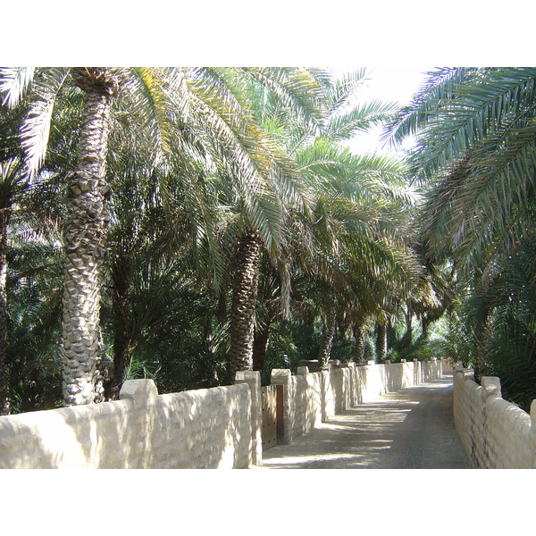 Picture United Arab Emirates Al Ain Al Ain Oasis 2005-03 14 - Tour Al Ain Oasis