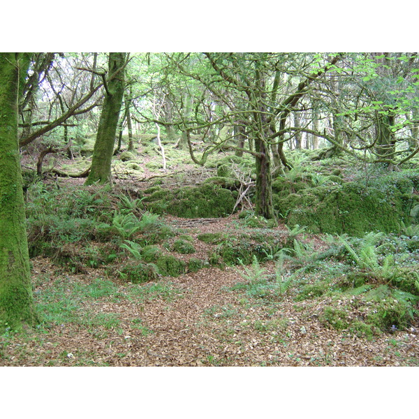 Picture Ireland Kerry Killarney National Park Muckross Lake 2004-05 12 - Tour Muckross Lake