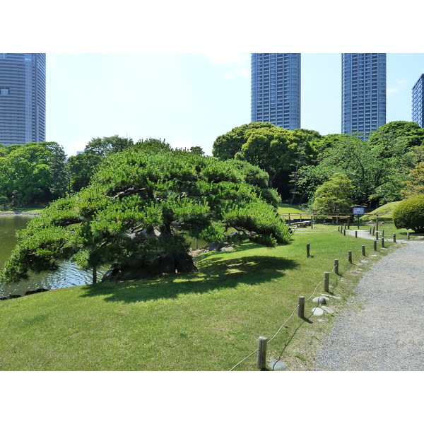 Picture Japan Tokyo Hama rikyu Gardens 2010-06 53 - Recreation Hama rikyu Gardens