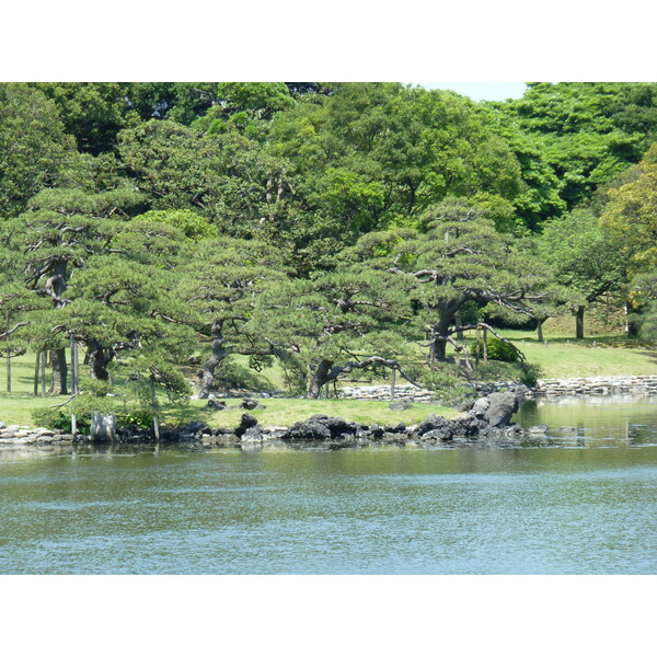 Picture Japan Tokyo Hama rikyu Gardens 2010-06 45 - Tour Hama rikyu Gardens