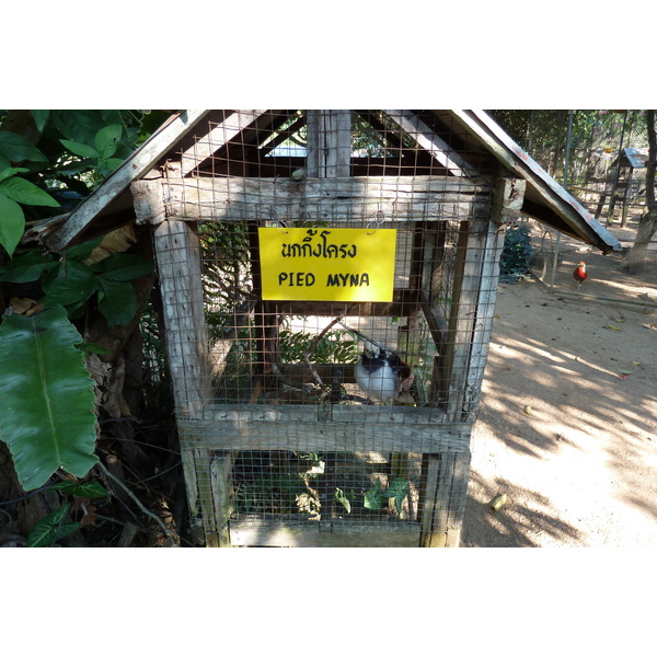 Picture Thailand Chiang Mai Mae Sa Snake Farm 2010-12 19 - History Mae Sa Snake Farm