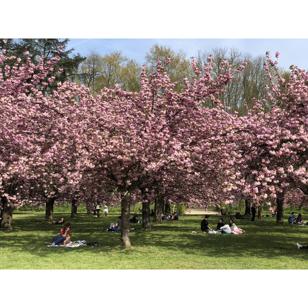 Picture France Parc de Sceaux 2019-04 64 - Tours Parc de Sceaux