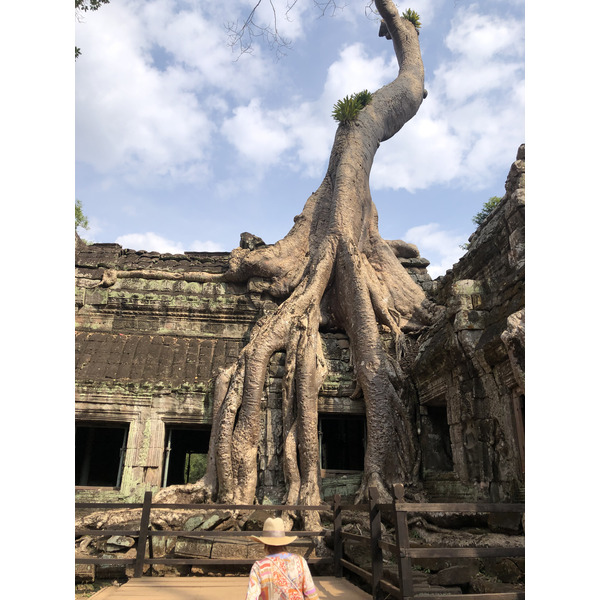 Picture Cambodia Siem Reap Ta Prohm 2023-01 74 - Tour Ta Prohm