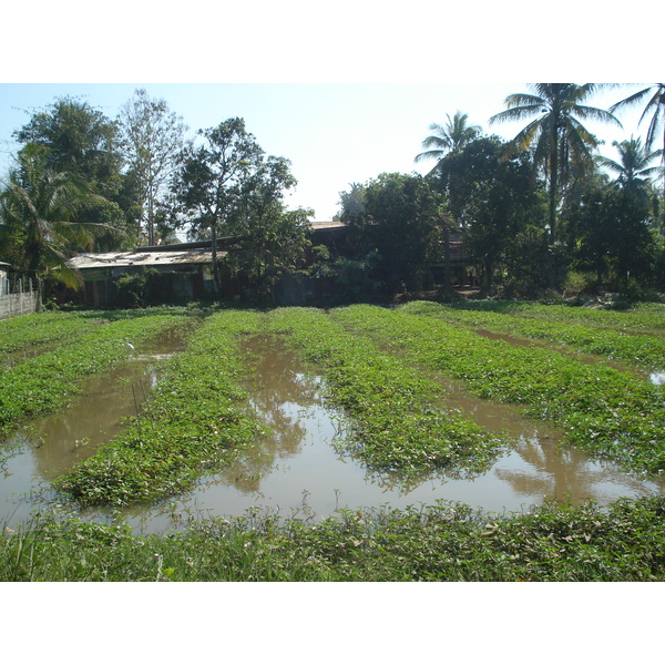 Picture Thailand Phitsanulok 2008-01 11 - History Phitsanulok