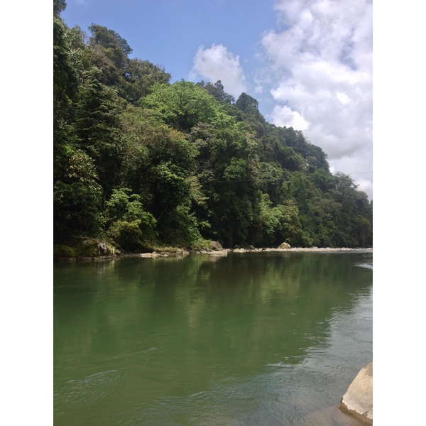 Picture Costa Rica Pacuare River 2015-03 193 - Around Pacuare River