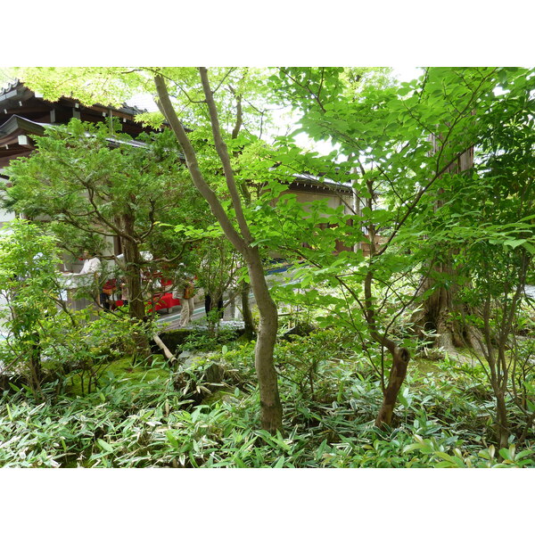 Picture Japan Kyoto Kinkakuji Temple(Golden Pavilion) 2010-06 34 - Tour Kinkakuji Temple(Golden Pavilion)