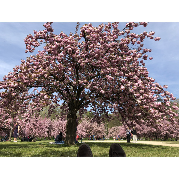 Picture France Parc de Sceaux 2019-04 87 - History Parc de Sceaux