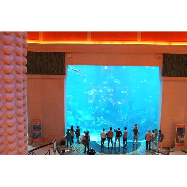 Picture United Arab Emirates Dubai Atlantis Hotel 2014-02 189 - Around Atlantis Hotel