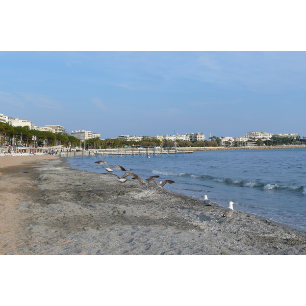 Picture France Cannes Beach 2008-04 0 - Discovery Beach