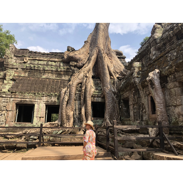 Picture Cambodia Siem Reap Ta Prohm 2023-01 46 - Around Ta Prohm