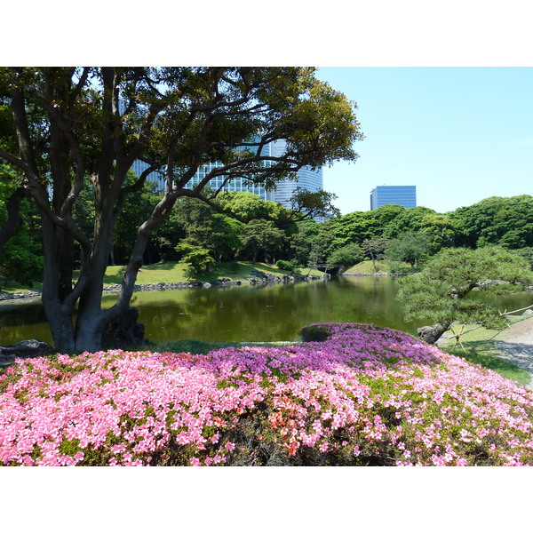 Picture Japan Tokyo Hama rikyu Gardens 2010-06 82 - Center Hama rikyu Gardens