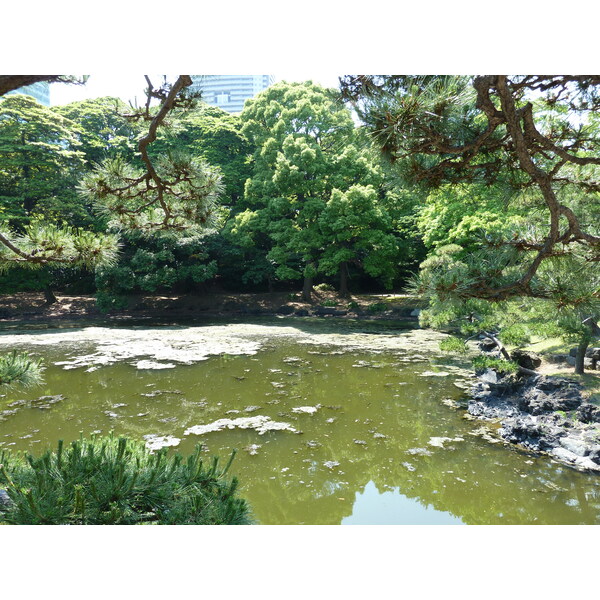 Picture Japan Tokyo Hama rikyu Gardens 2010-06 83 - Discovery Hama rikyu Gardens