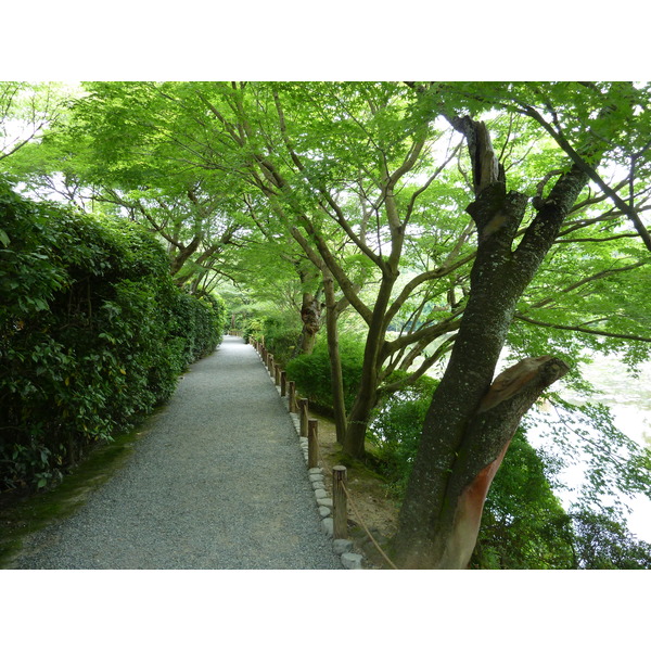 Picture Japan Kyoto Ryoanji Temple 2010-06 49 - Tour Ryoanji Temple