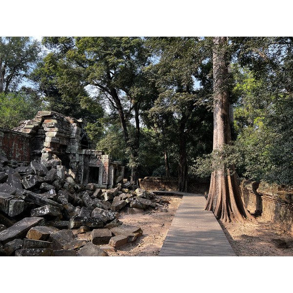 Picture Cambodia Siem Reap Ta Prohm 2023-01 35 - Center Ta Prohm