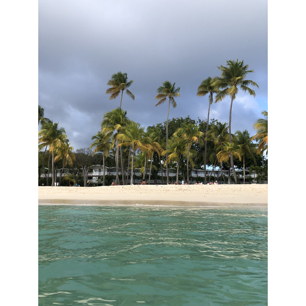 Picture Guadeloupe La Caravelle Beach 2021-02 56 - Around La Caravelle Beach