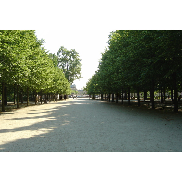 Picture France Paris Garden of Tuileries 2007-05 126 - Recreation Garden of Tuileries