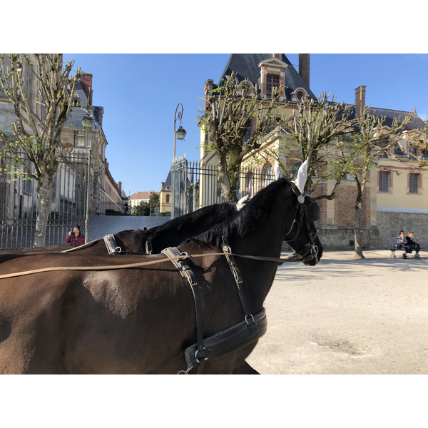 Picture France Fontainebleau 2019-04 249 - Journey Fontainebleau