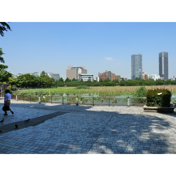 Picture Japan Tokyo Ueno 2010-06 50 - Discovery Ueno