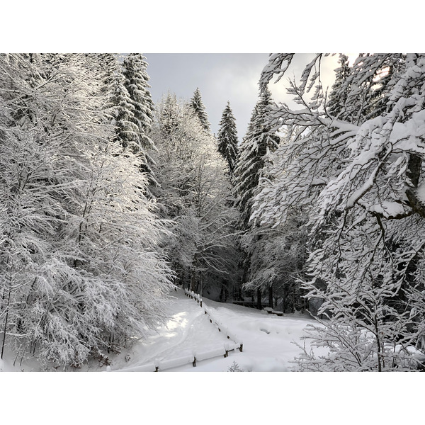 Picture France La Clusaz 2017-12 243 - Tour La Clusaz