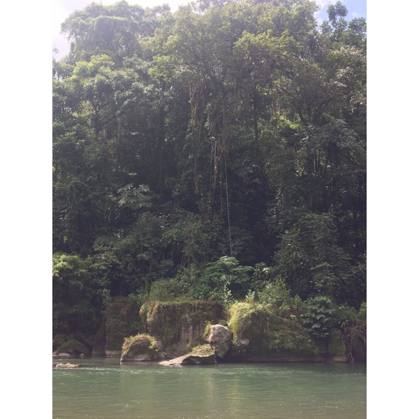 Picture Costa Rica Pacuare River 2015-03 123 - Tour Pacuare River