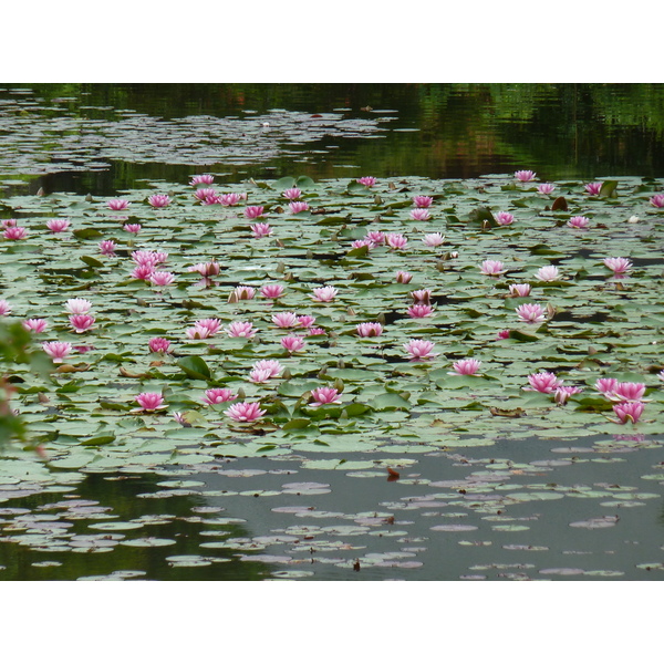 Picture Japan Kyoto Ryoanji Temple 2010-06 73 - Recreation Ryoanji Temple