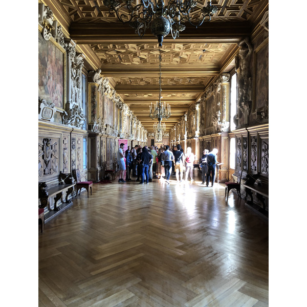 Picture France Fontainebleau 2019-04 353 - Discovery Fontainebleau