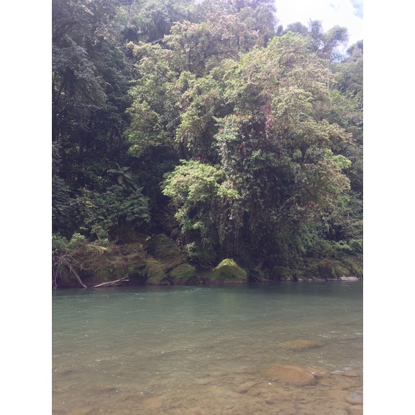 Picture Costa Rica Pacuare River 2015-03 174 - Discovery Pacuare River