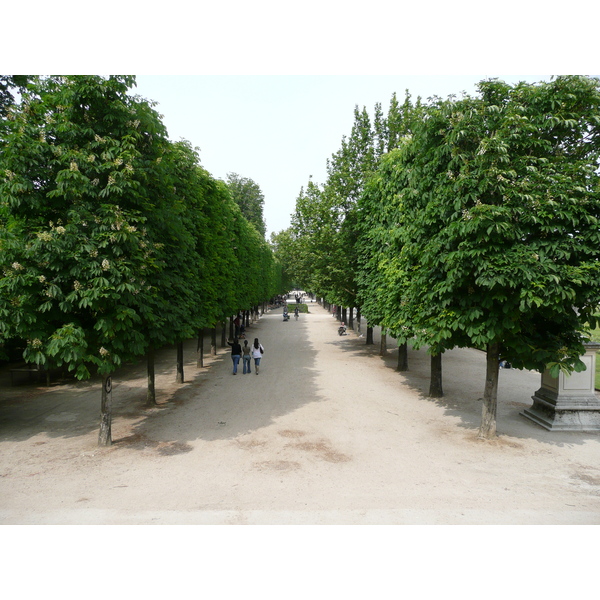 Picture France Paris Garden of Tuileries 2007-05 291 - Center Garden of Tuileries