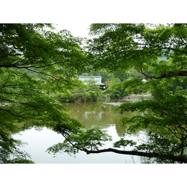 Picture Japan Kyoto Ryoanji Temple 2010-06 57 - Discovery Ryoanji Temple