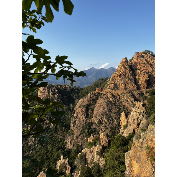 Picture France Corsica Calanques de Piana 2023-06 50 - Center Calanques de Piana