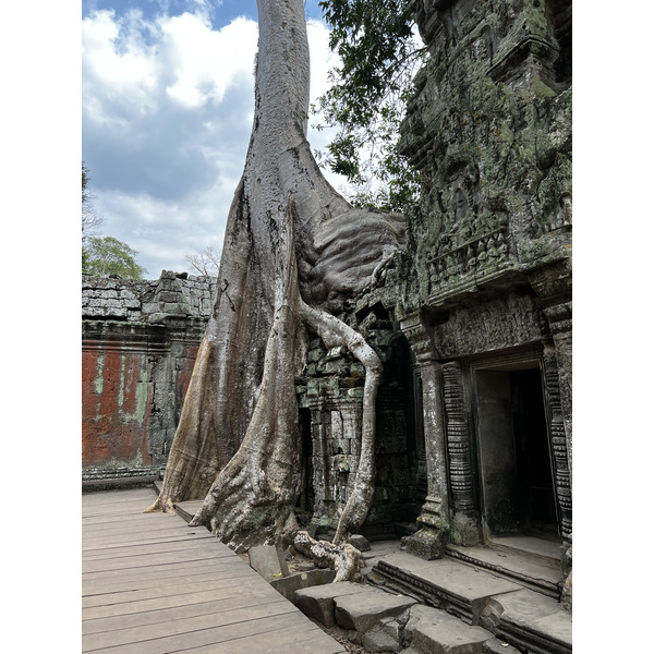 Picture Cambodia Siem Reap Ta Prohm 2023-01 144 - Recreation Ta Prohm