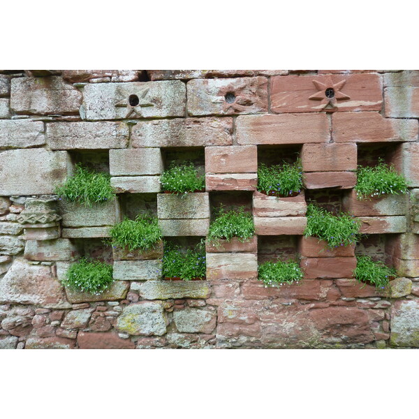 Picture United Kingdom Scotland Edzell Castle 2011-07 14 - Center Edzell Castle