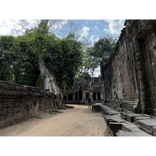 Picture Cambodia Siem Reap Ta Prohm 2023-01 41 - Discovery Ta Prohm