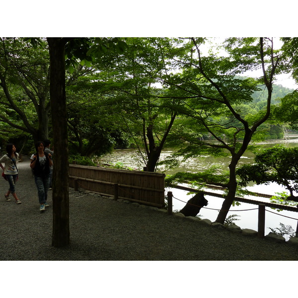 Picture Japan Kyoto Ryoanji Temple 2010-06 58 - Tour Ryoanji Temple