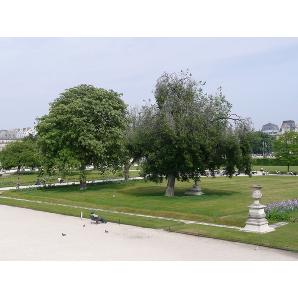 Picture France Paris Garden of Tuileries 2007-05 270 - Around Garden of Tuileries