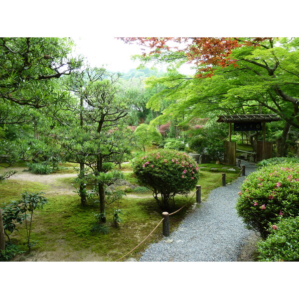 Picture Japan Kyoto Ryoanji Temple 2010-06 32 - Journey Ryoanji Temple