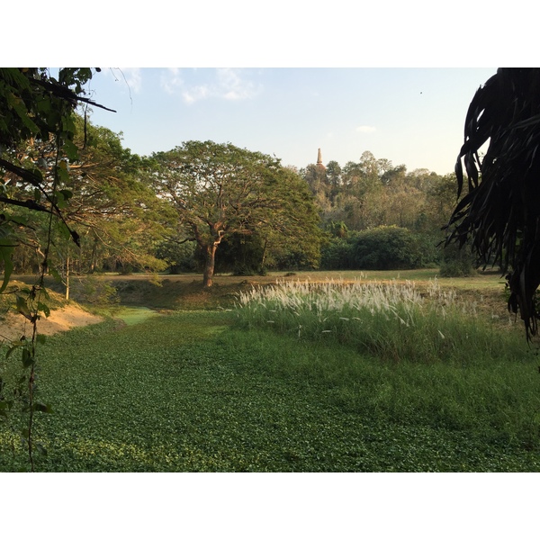 Picture Thailand Si satchanalai historical park 2014-12 134 - Center Si satchanalai historical park